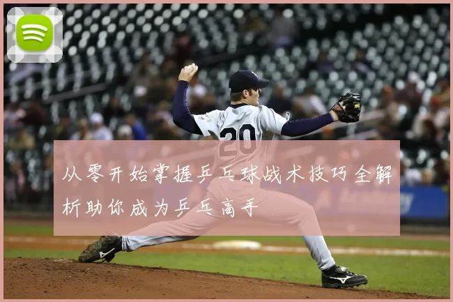从零开始掌握乒乓球战术技巧全解析助你成为乒乓高手