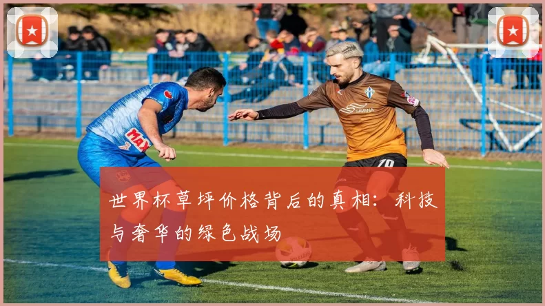 世界杯草坪价格背后的真相：科技与奢华的绿色战场