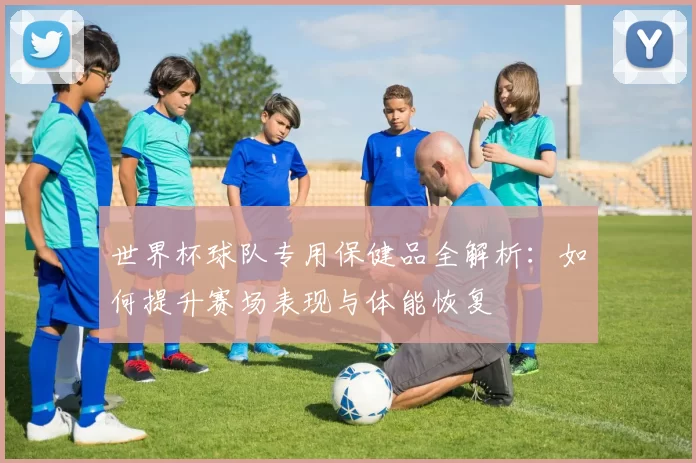 世界杯球队专用保健品全解析：如何提升赛场表现与体能恢复