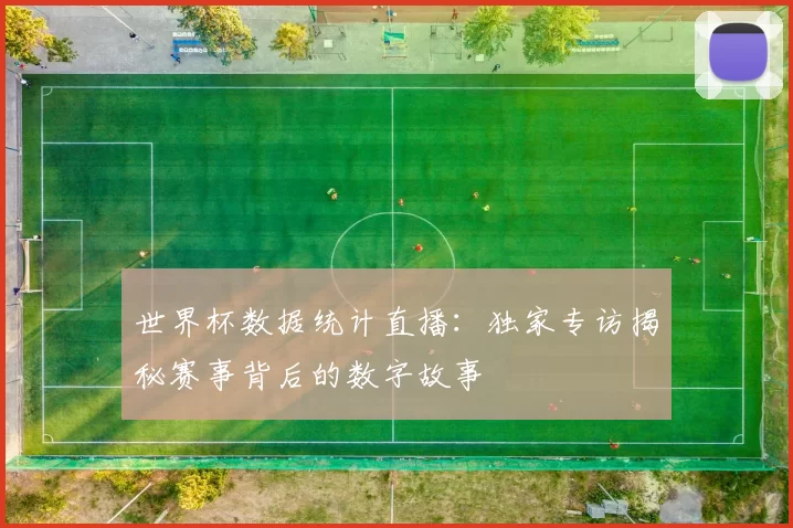 世界杯数据统计直播：独家专访揭秘赛事背后的数字故事