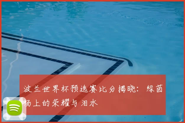 波兰世界杯预选赛比分揭晓：绿茵场上的荣耀与泪水