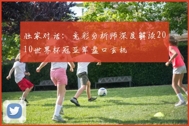 独家对话：竞彩分析师深度解读2010世界杯冠亚军盘口玄机