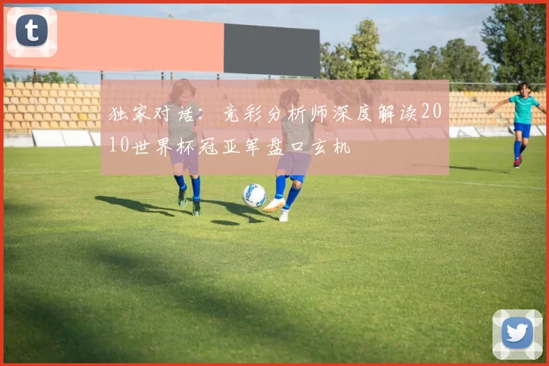 独家对话:竞彩分析师深度解读2010世界杯冠亚军盘口玄机