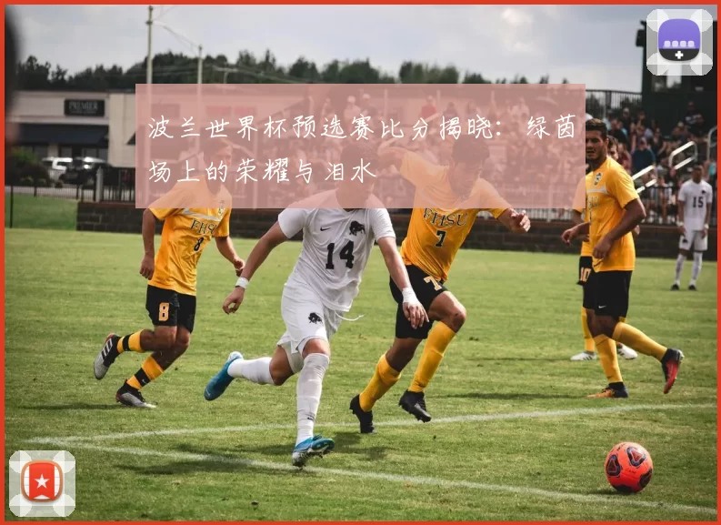 波兰世界杯预选赛比分揭晓:绿茵场上的荣耀与泪水