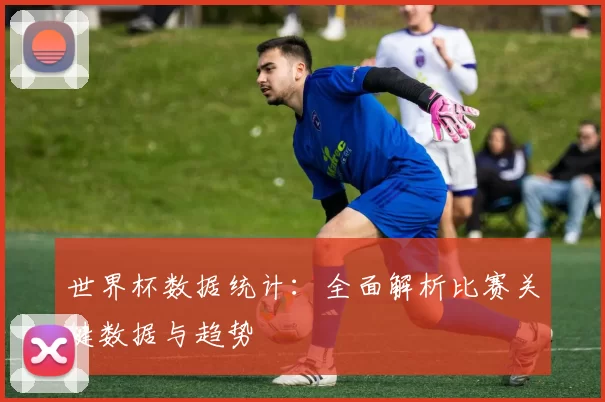 世界杯数据统计:全面解析比赛关键数据与趋势