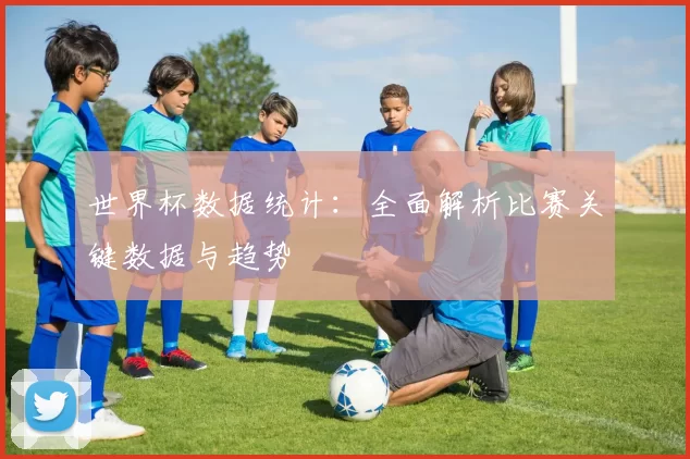 世界杯数据统计：全面解析比赛关键数据与趋势