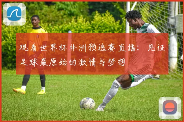 观看世界杯非洲预选赛直播：见证足球最原始的激情与梦想