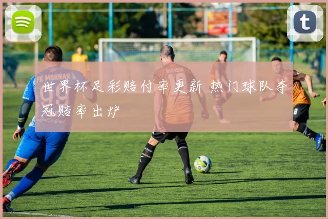 世界杯足彩赔付率更新 热门球队夺冠赔率出炉