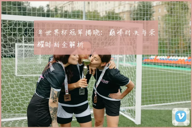 年世界杯冠军揭晓:巅峰对决与荣耀时刻全解析
