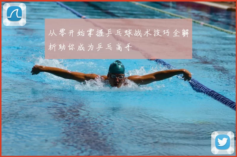 从零开始掌握乒乓球战术技巧全解析助你成为乒乓高手