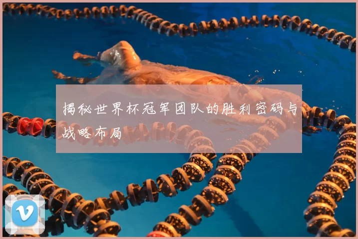 揭秘世界杯冠军团队的胜利密码与战略布局