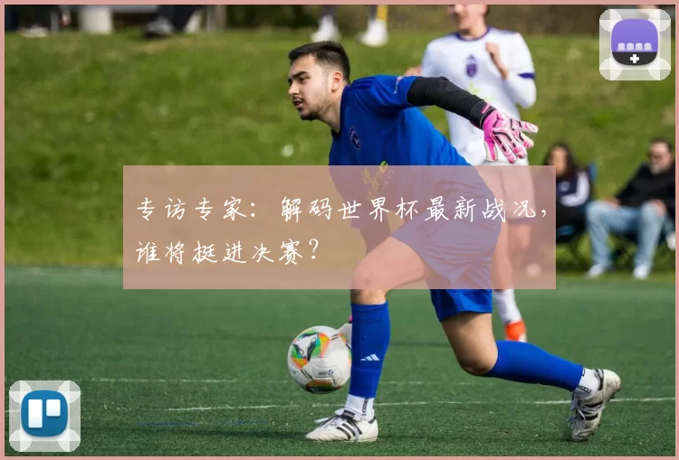 专访专家:解码世界杯最新战况,谁将挺进决赛?