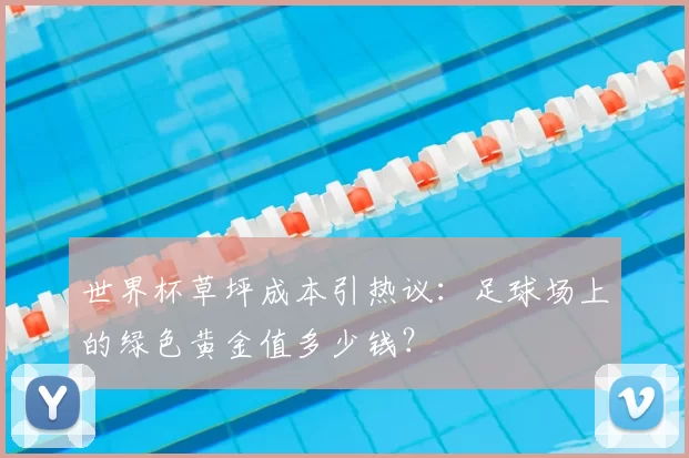 世界杯草坪成本引热议：足球场上的绿色黄金值多少钱？