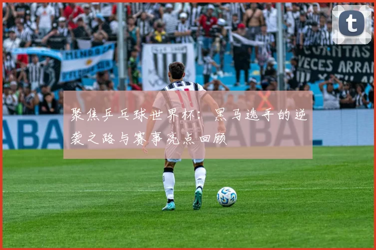 聚焦乒乓球世界杯:黑马选手的逆袭之路与赛事亮点回顾